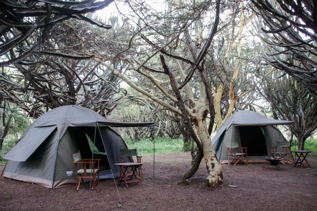 Maji Moto Maasai Cultural Camp photo 2