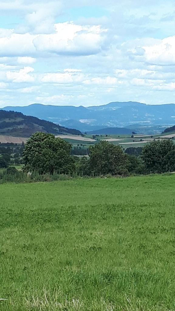 La Forge photo 4