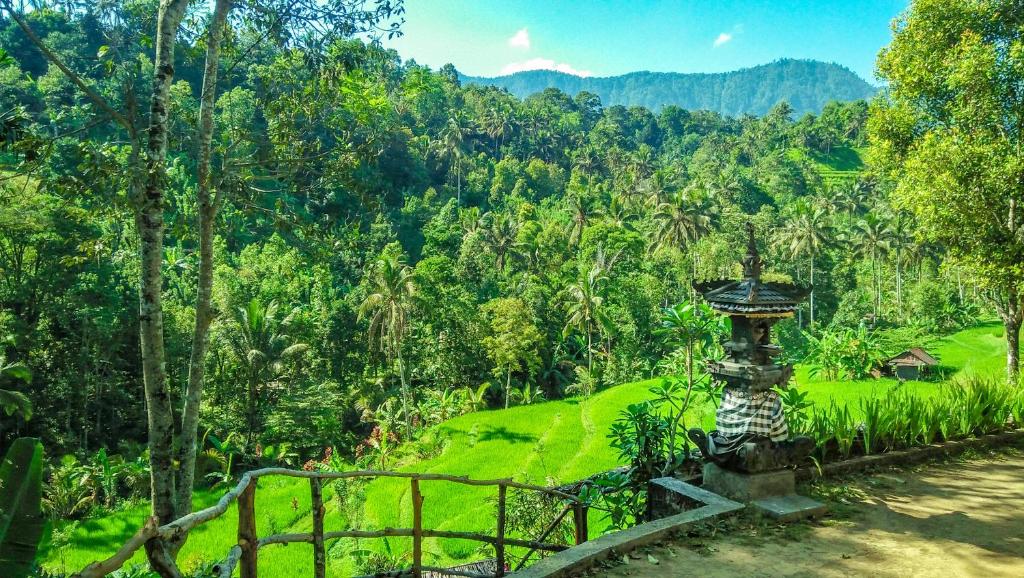 Buda's Homestay Lemukih photo 2
