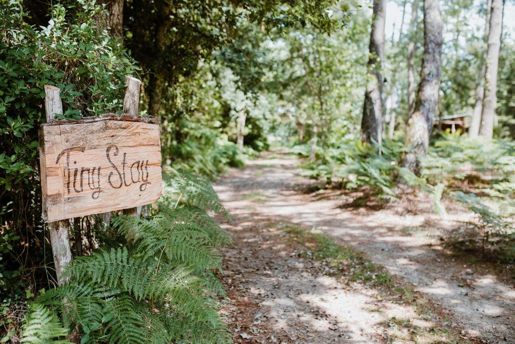 Tiny Stay - Ecolodge photo 1