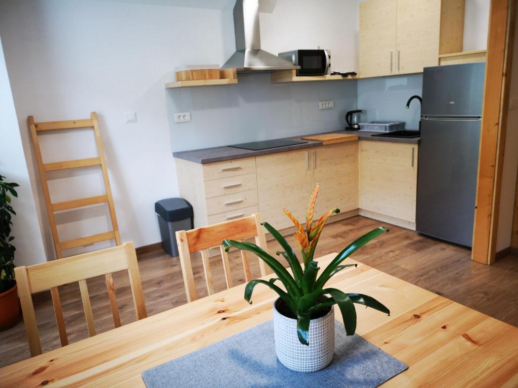 TriSa apartments Bohinj photo 1