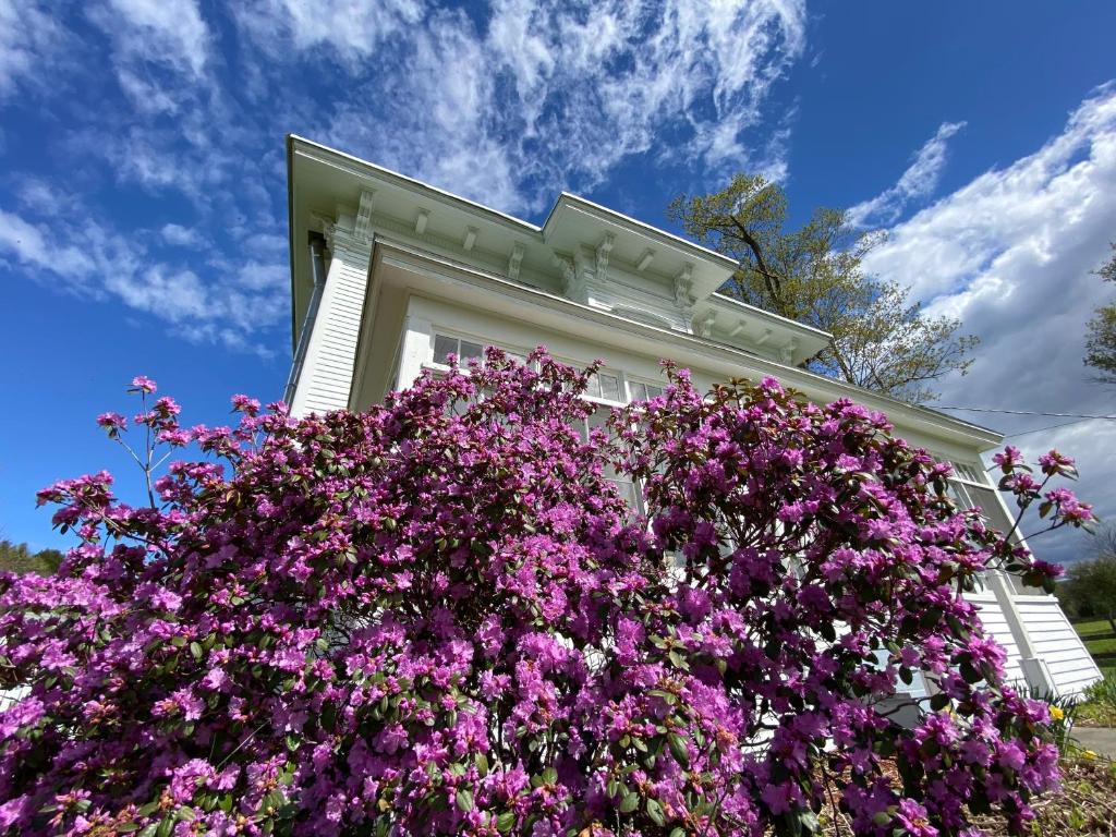Bloom Farm Guesthouse image