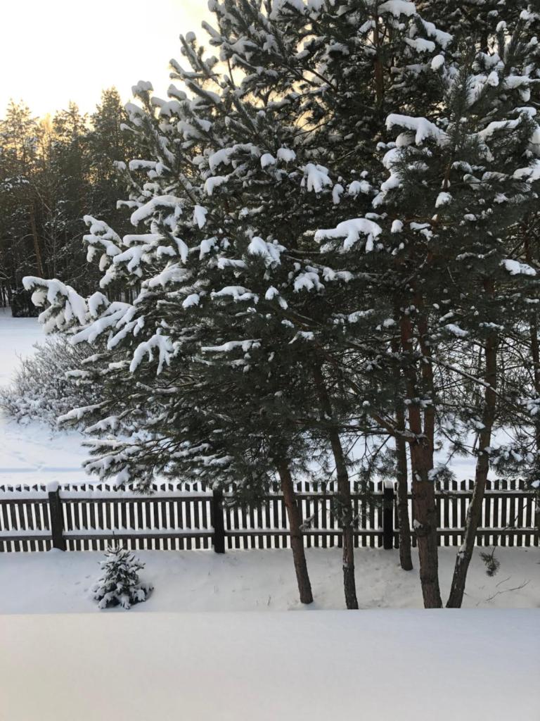 Czerwony Domek na Podlasiu przy lesie photo 4