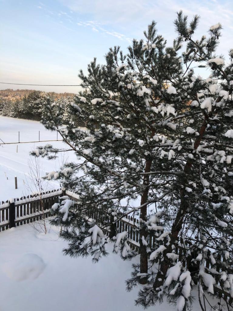 Czerwony Domek na Podlasiu przy lesie photo 1