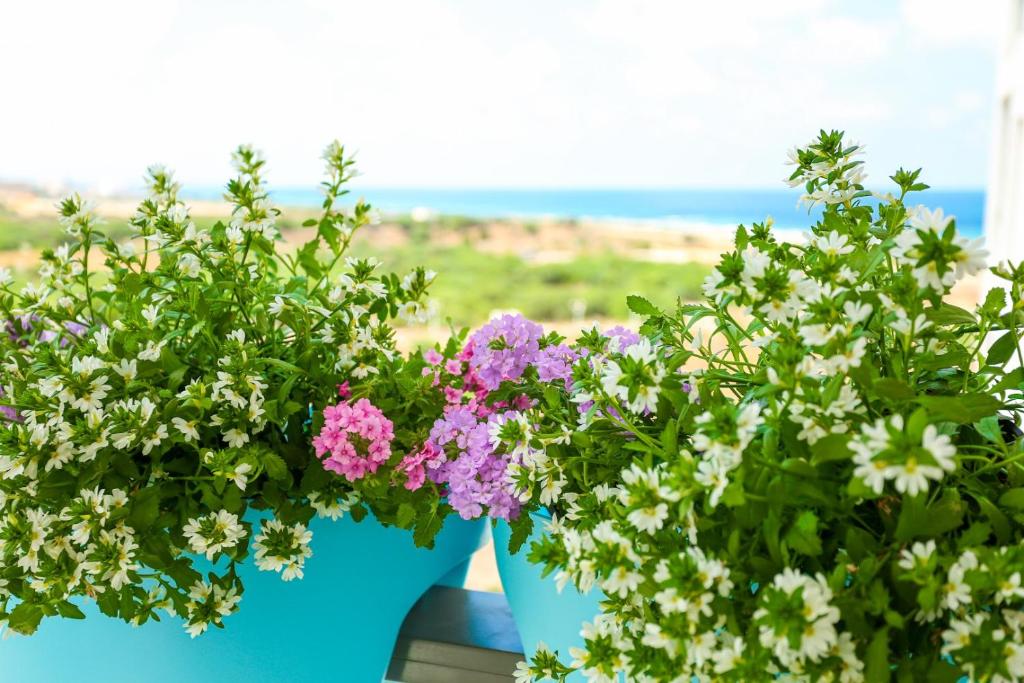 פנינה באכזיב- מול הים- achzivacation photo 4
