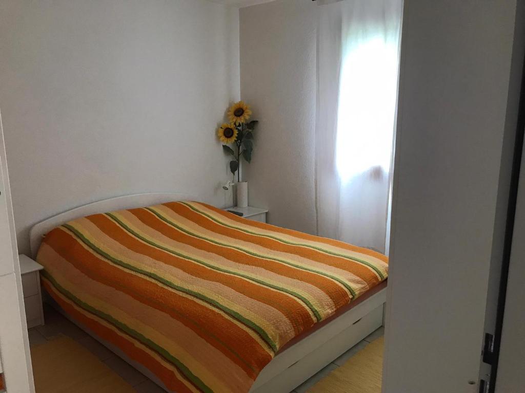 Appartamento da 2 locali a Bosco Gurin photo 4