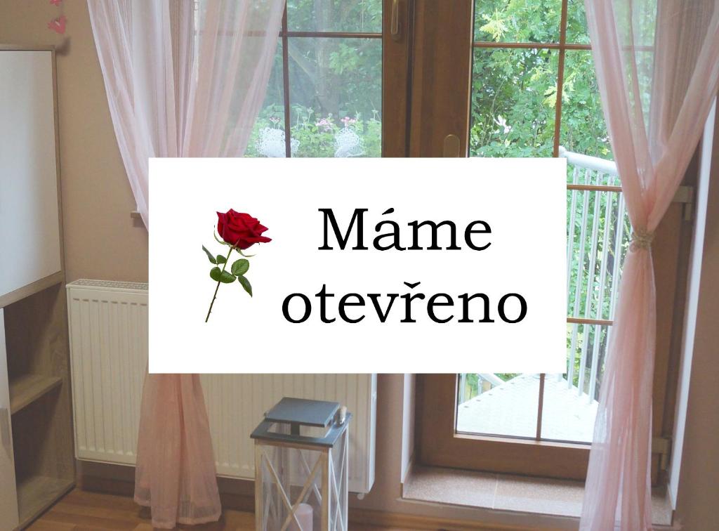 Ubytování Janův Kout photo 1