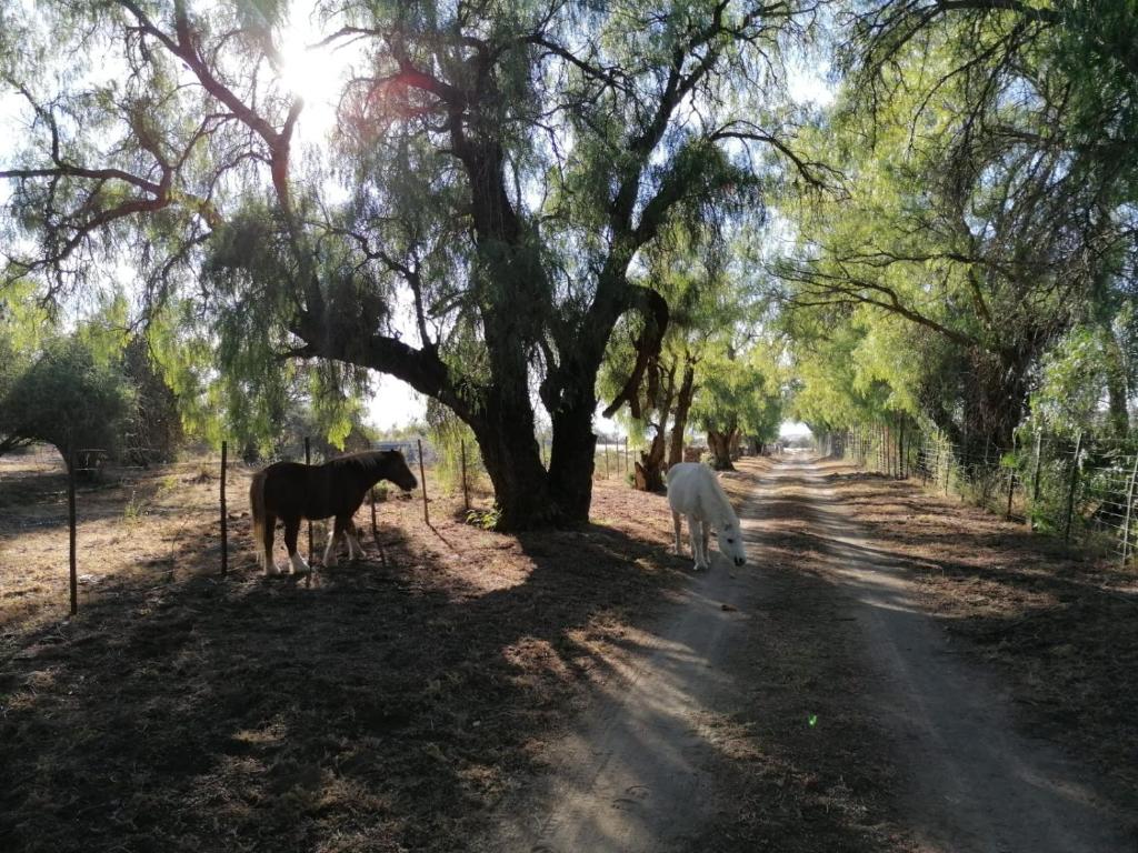 Doornfontein Guest Farm photo 2