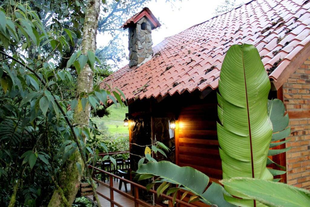 Luxury cabin surrounded by nature photo 4