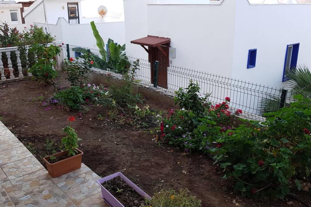 Yazlık photo 2