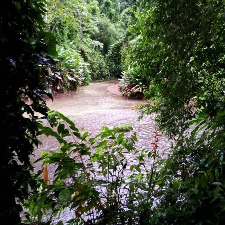 Rio Agujitas Eco-Jungle photo 4