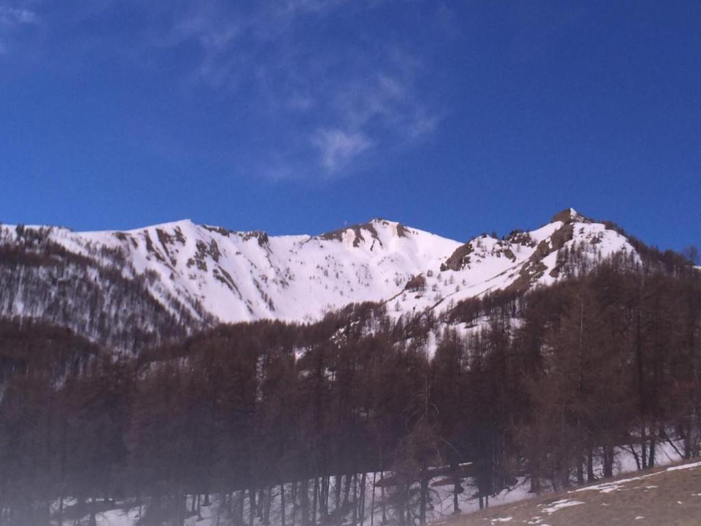 La Foux d'Allos joli studio familial 2-4 pers aux pieds des pistes photo 1