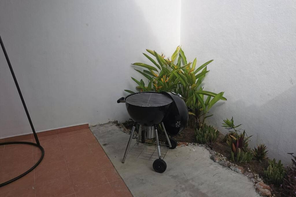 Casa de los Patos, Manzanillo photo 4