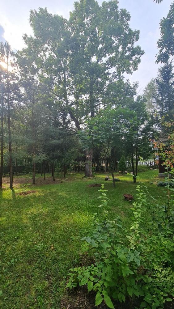 PanAnn Organic Farm photo 4