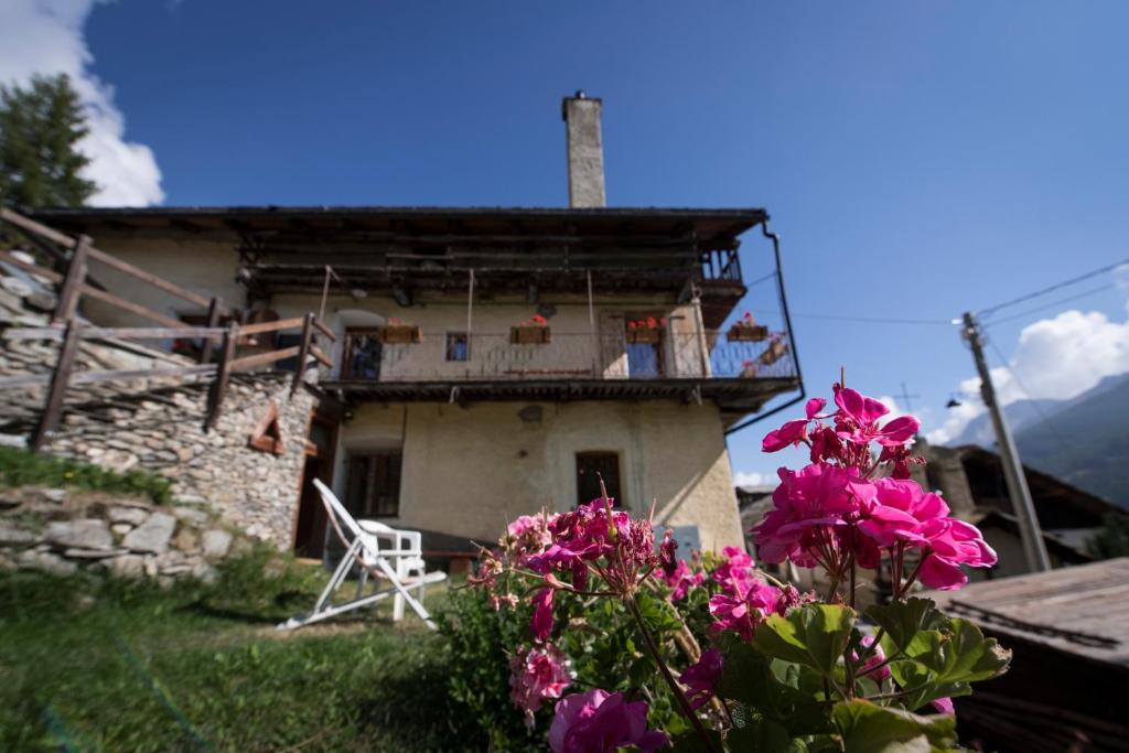 Sci e montagna vera photo 1