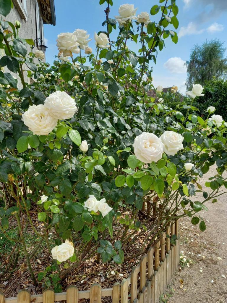 le domaine du chaffard photo 4