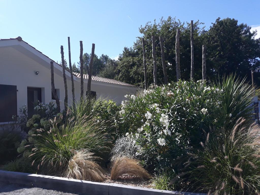 Villa de Gascogne photo 1