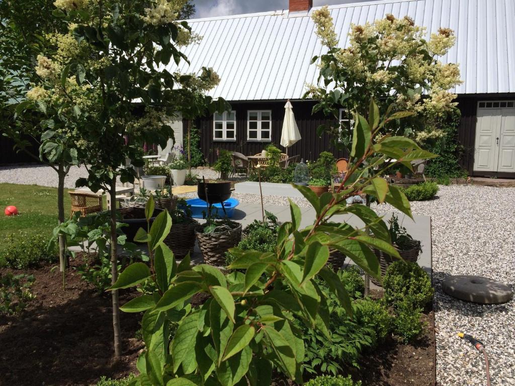 Flickebäck photo 2