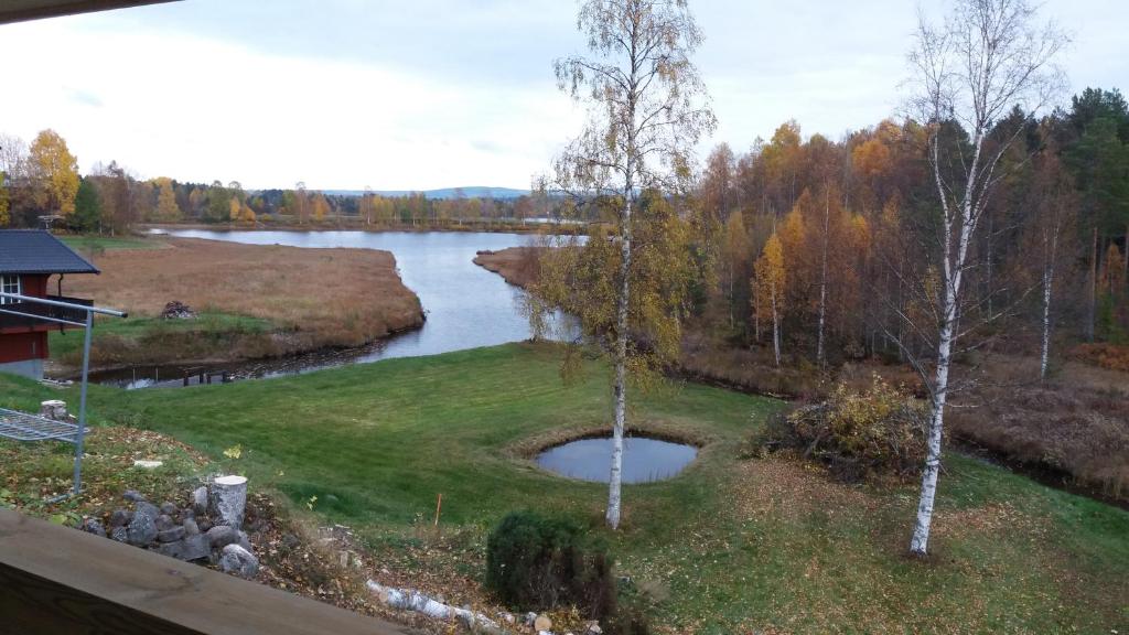 Villa Kuriosa SKOGSFEEN photo 4