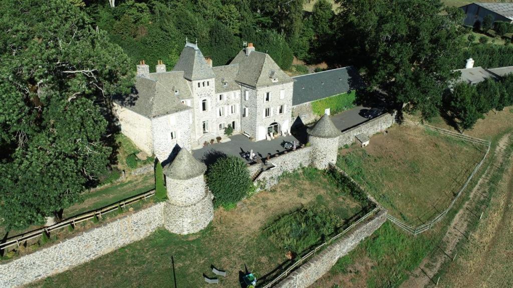 Château du Puech photo 3