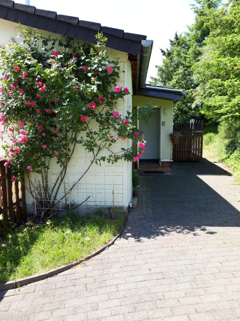 Ferienhaus ROSENHOF Vulkaneifel photo 3