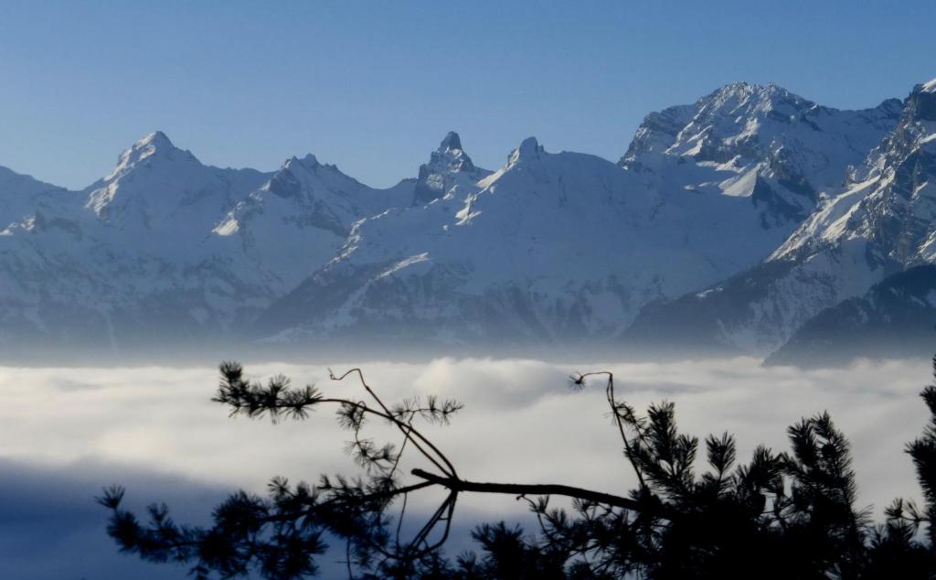 Chalet Faigaux photo 1