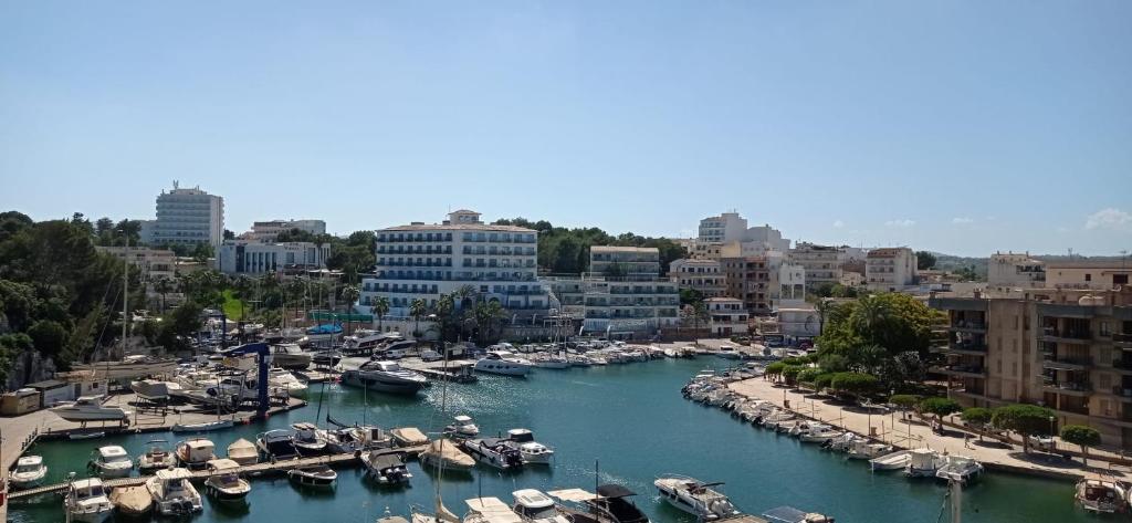 Porto Drach Aparthotel & Suites