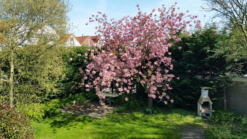 Kapiteinshuis Breskens photo 4