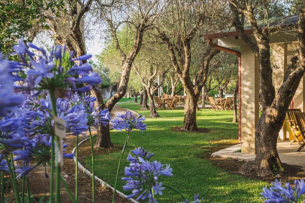 Agriturismo biologico Salos photo 1