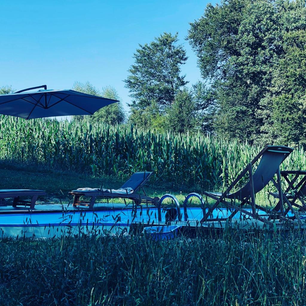 Boutique Glamping Divja DiVine photo 2