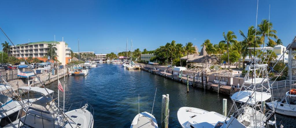 Holiday Inn Key Largo, an IHG Hotel photo 3