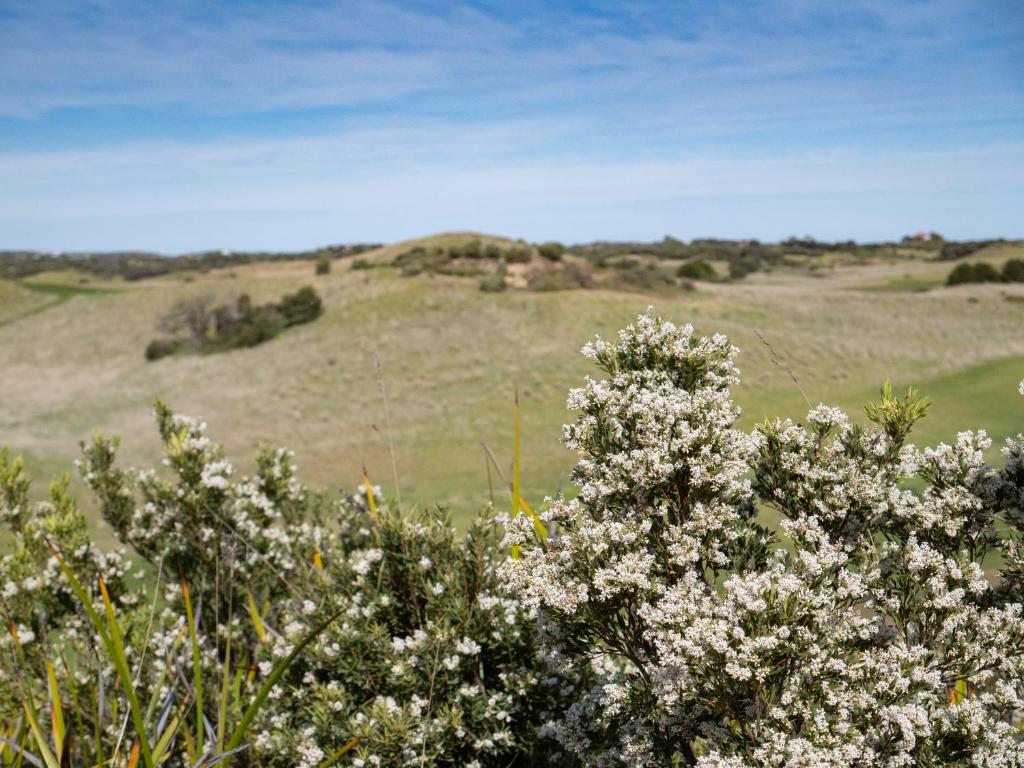 Links Lodge at The Dunes - Tap to explore photos