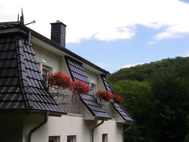 Weisses-Haus-am-Kurpark-Fewo-Bergblick photo 1