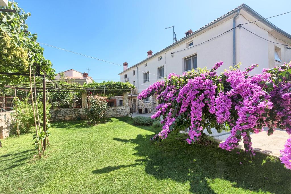 Apartment Donata photo 4