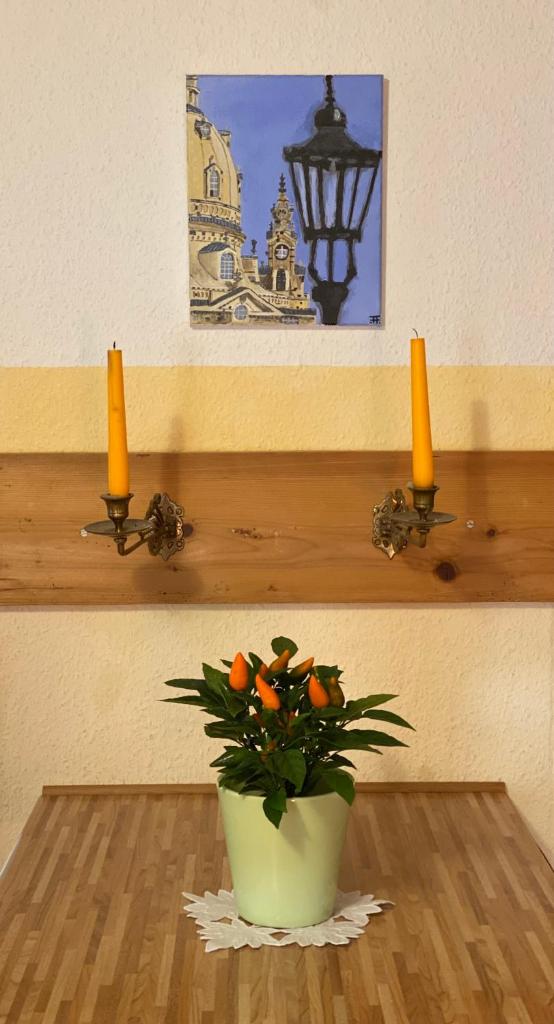 Haus Grüne Idylle photo 4