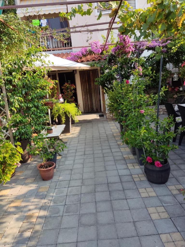 Dalmati house photo 2