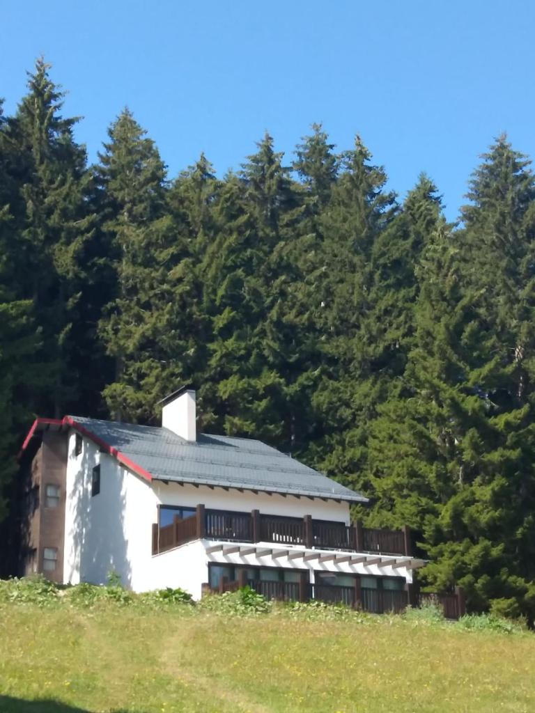 North Chalets photo 1