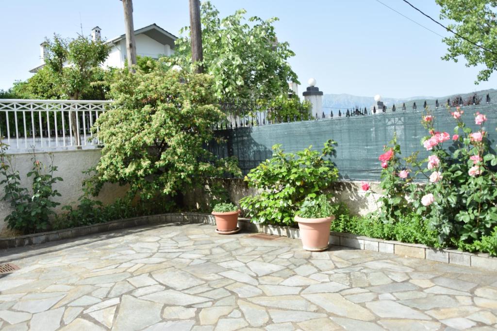 Spacious Apartment at Ioannina, Anatoli photo 3