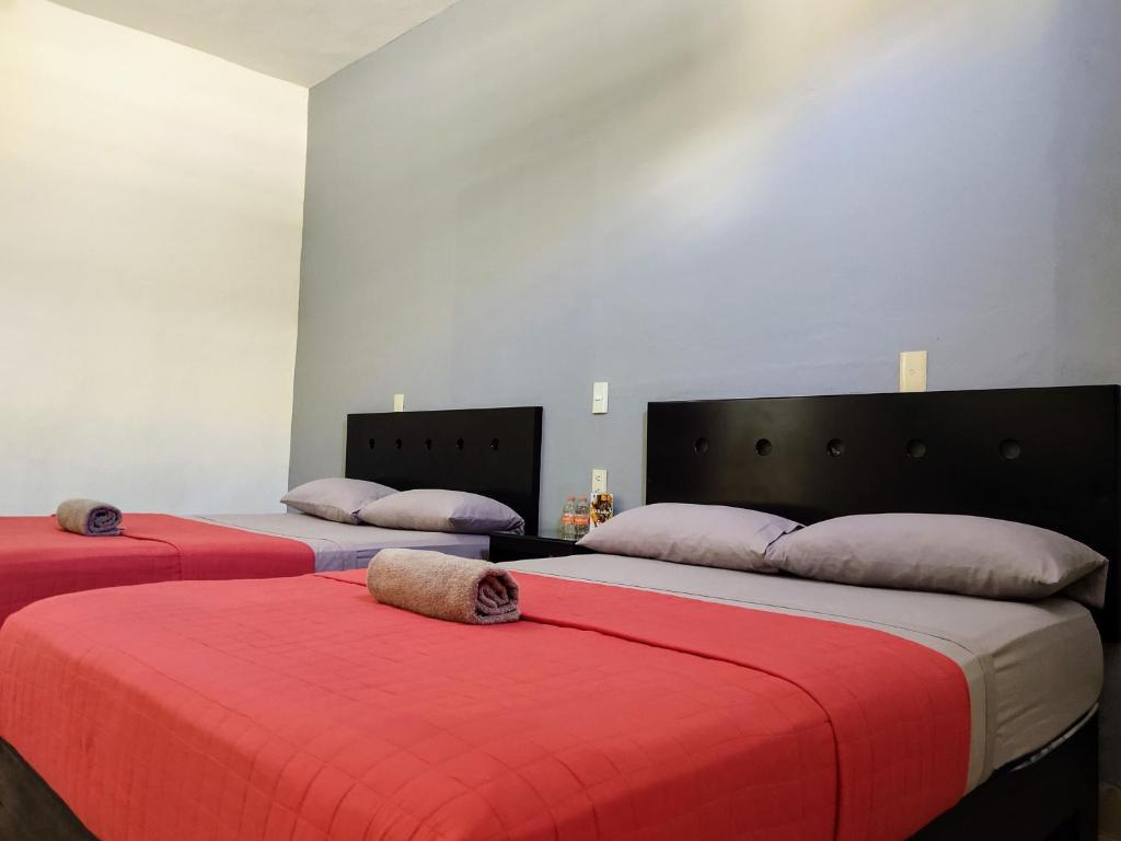 Hotel Zepeda photo 1