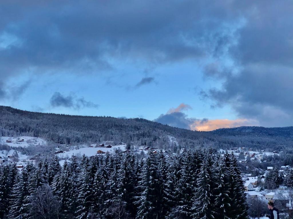 Le Bois des Neiges Charmant chalet authentique à 5 mn de Gérardmer photo 3
