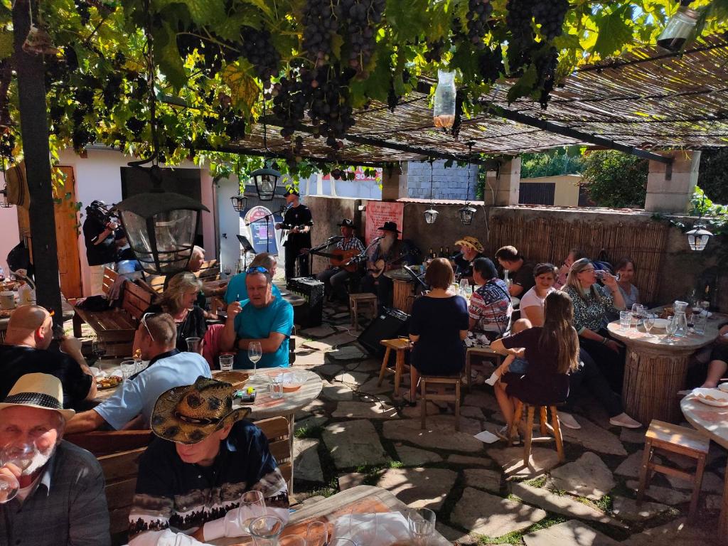 Rodinné vinařství Mikulenkovi photo 1
