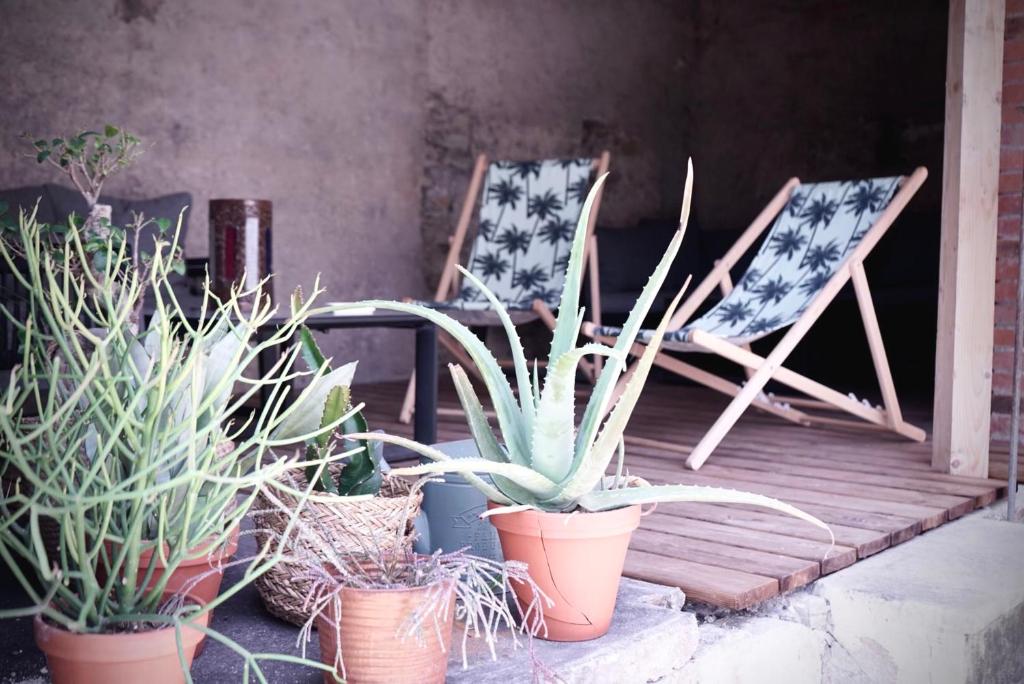 La Grande Maison Gannat photo 1