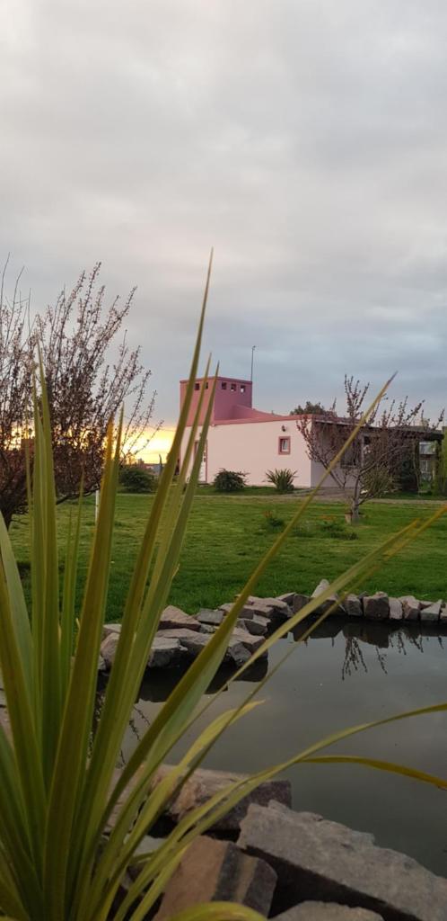Las Condalias photo 3