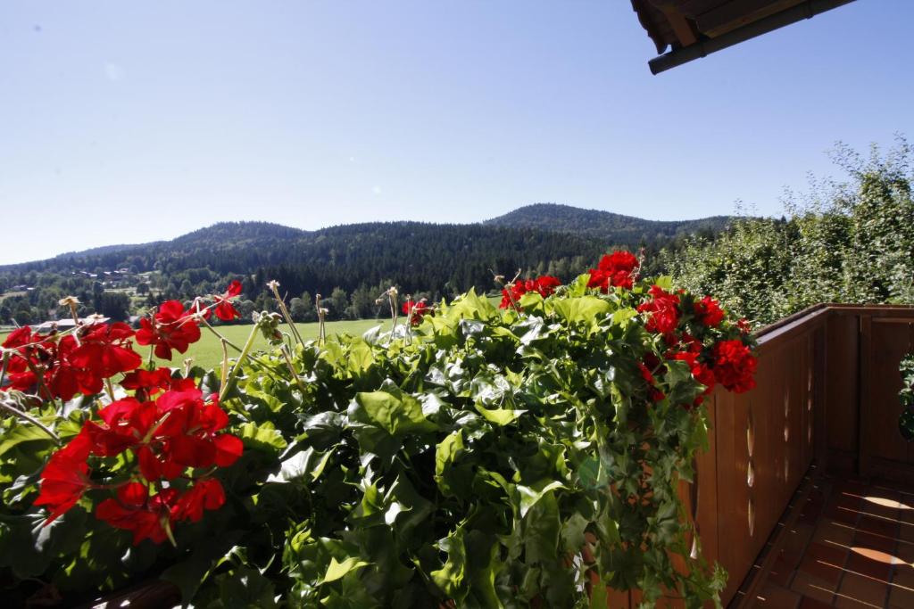 Pension Schuasterhof photo 1