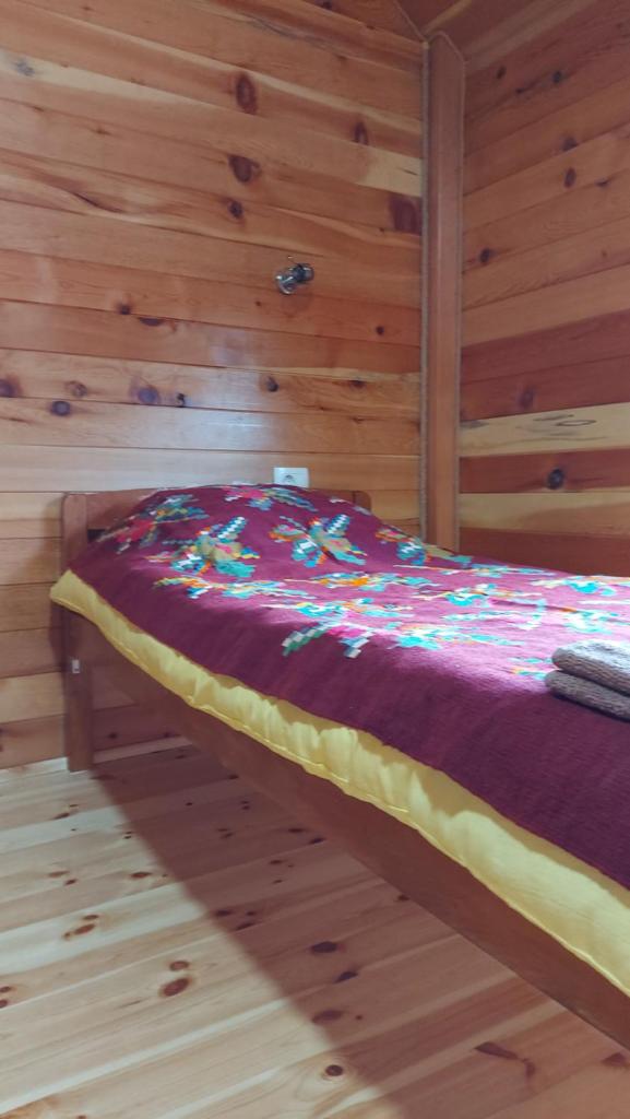 Log cabin 1 Merdovic photo 4