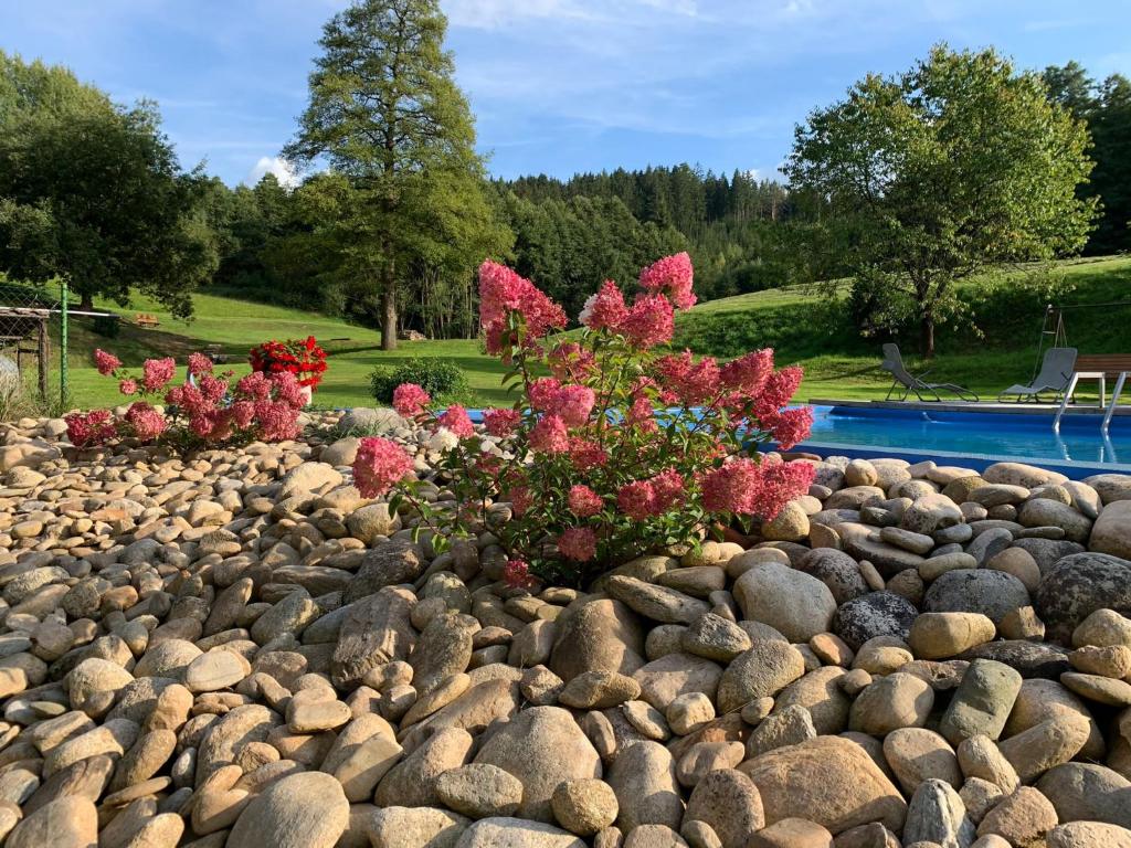 Ubytování Chotěvice photo 4