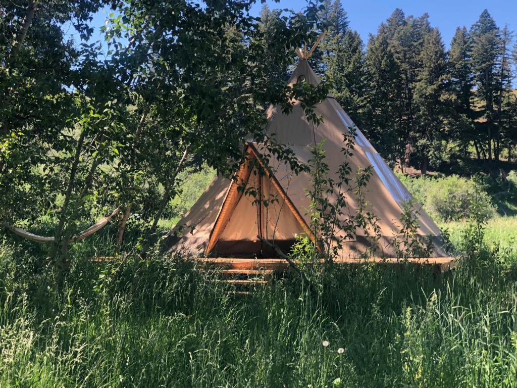 Bodhi Farms image