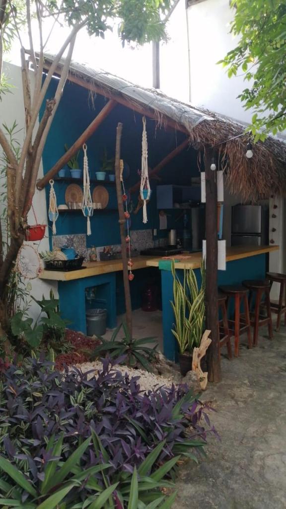 Hotel Jardin Mahahual photo 3