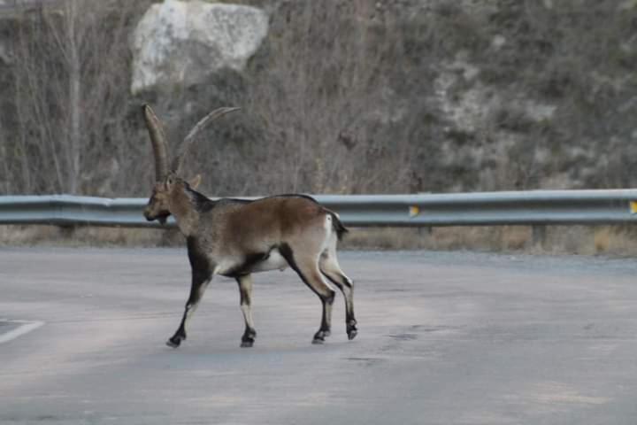 LA MANDUCA photo 4