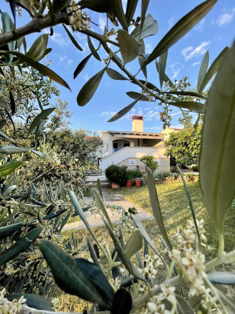 Vacation Family House on the Beach photo 3